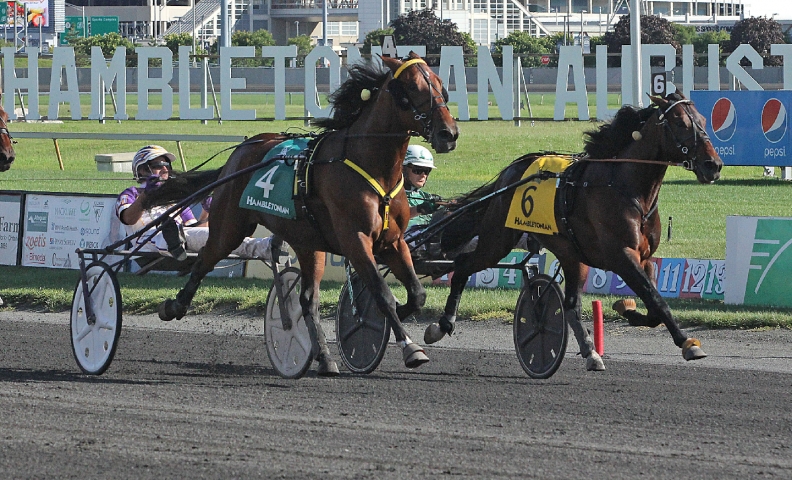 two horses & drivers harness racing along the track