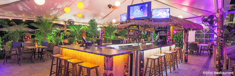 A rectangular bar in spacious palm tree lined room with purple lighting highlighting the walls, at Erini Tiki Bar, in Ewing Township, New Jersey