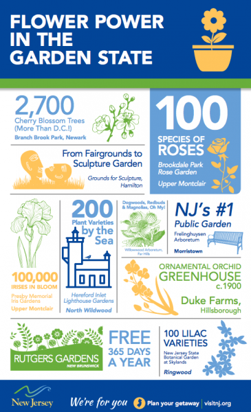 Infographic - Flower Power in the Garden State
