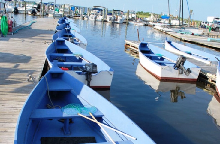 Blue boats lined up along pier