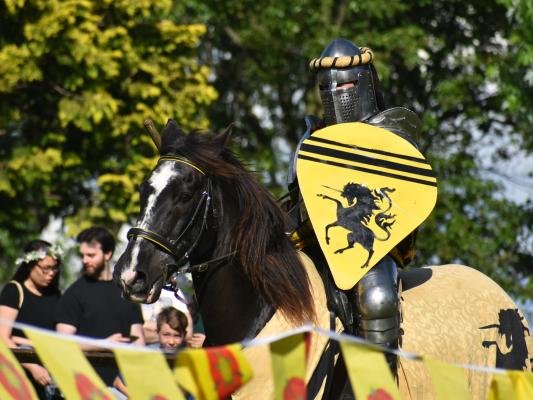 knight on a black horse with shield