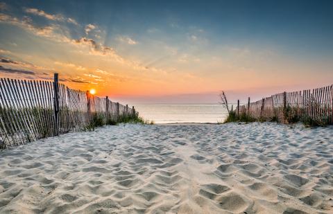 Pure Paradise: New Jersey Beaches are Good for the Soul